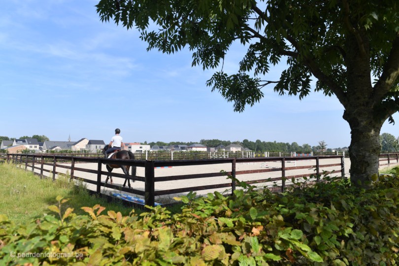 Stables for rent